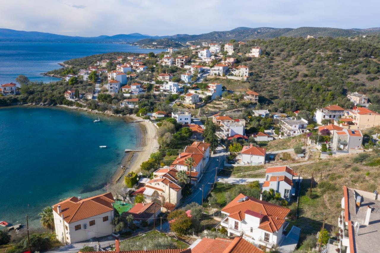 Villa Sea View Vólosz Kültér fotó